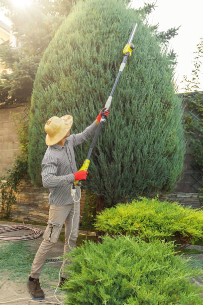 Best Arborist Consultation Services  in Maltby, WA